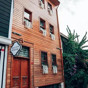 Отель Gulliver Mansion Стамбул